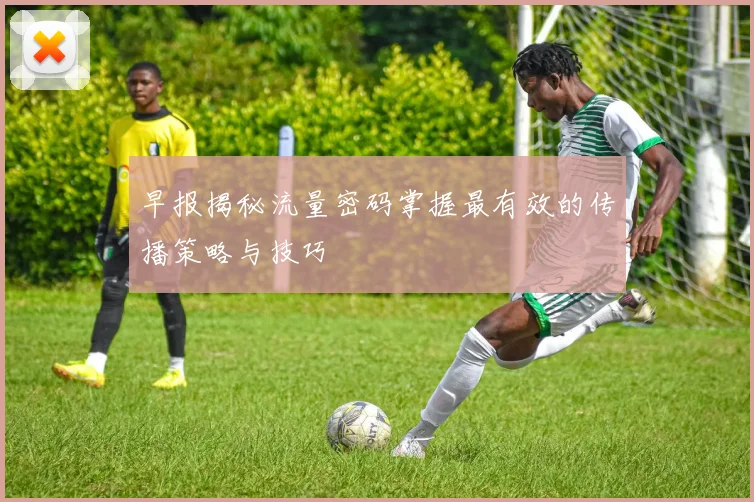 早报揭秘流量密码掌握最有效的传播策略与技巧