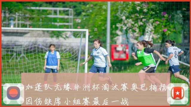 加蓬队无缘非洲杯淘汰赛奥巴梅扬因伤缺席小组赛最后一战