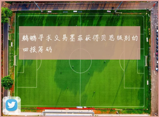 鹈鹕寻求交易墨菲获得贝恩级别的回报筹码